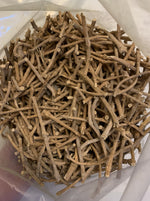 Mature Silene capensis plant with white flowers, African Dream Herb