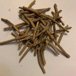 Young African Dream Root seedling growing in a terracotta pot