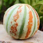 Interior of Kajari melon showing the sweet, fragrant lime-green flesh