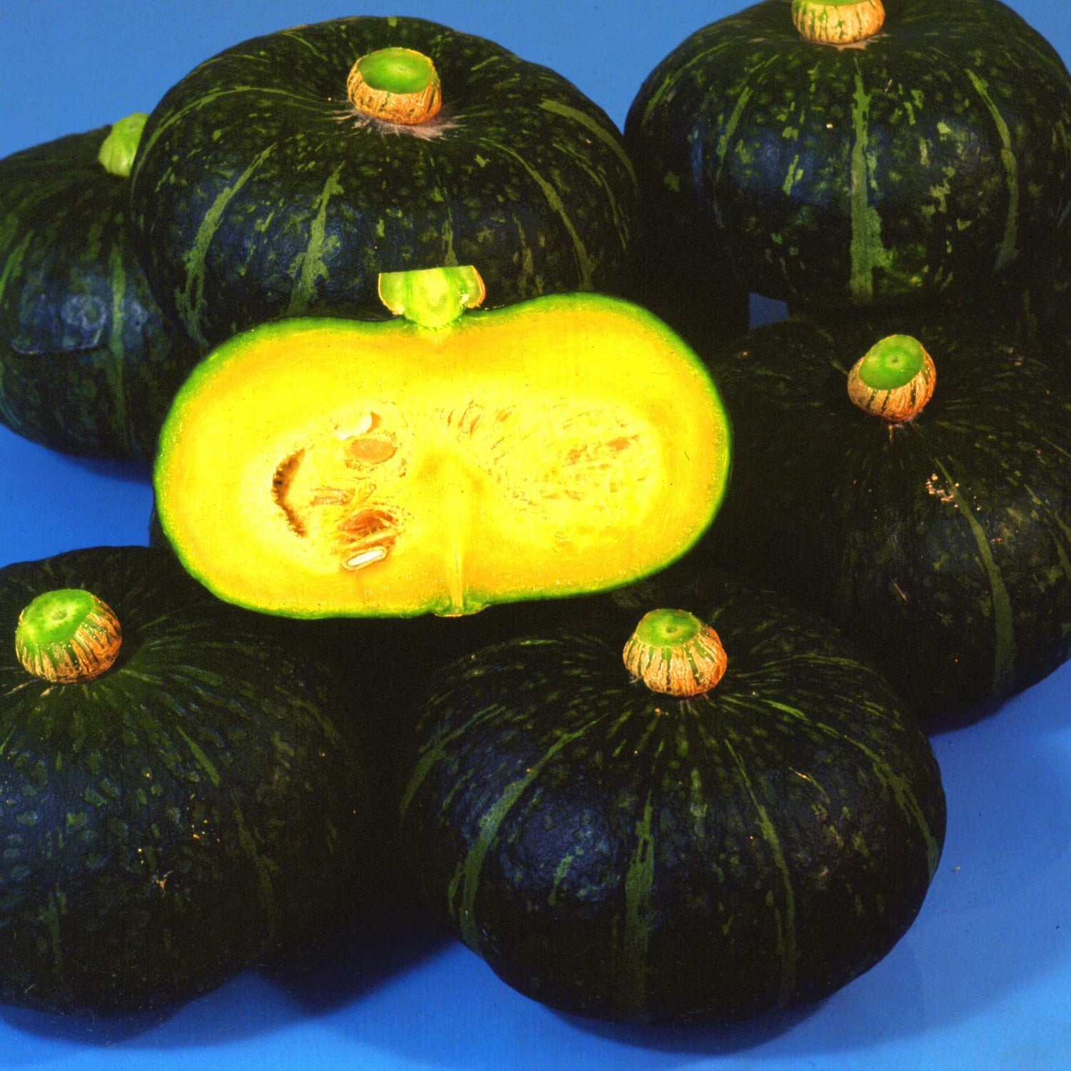 SEEDS Japanese Kabocha Squash I Kurinishiki I Asian Pumpkin – Heirloom, Non-GMO