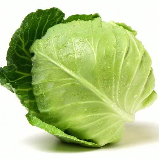 Superior Quality Cabbage For Early Harvest And Durability – Heirloom, Non-GMO, High Germination Organic Garden Seeds