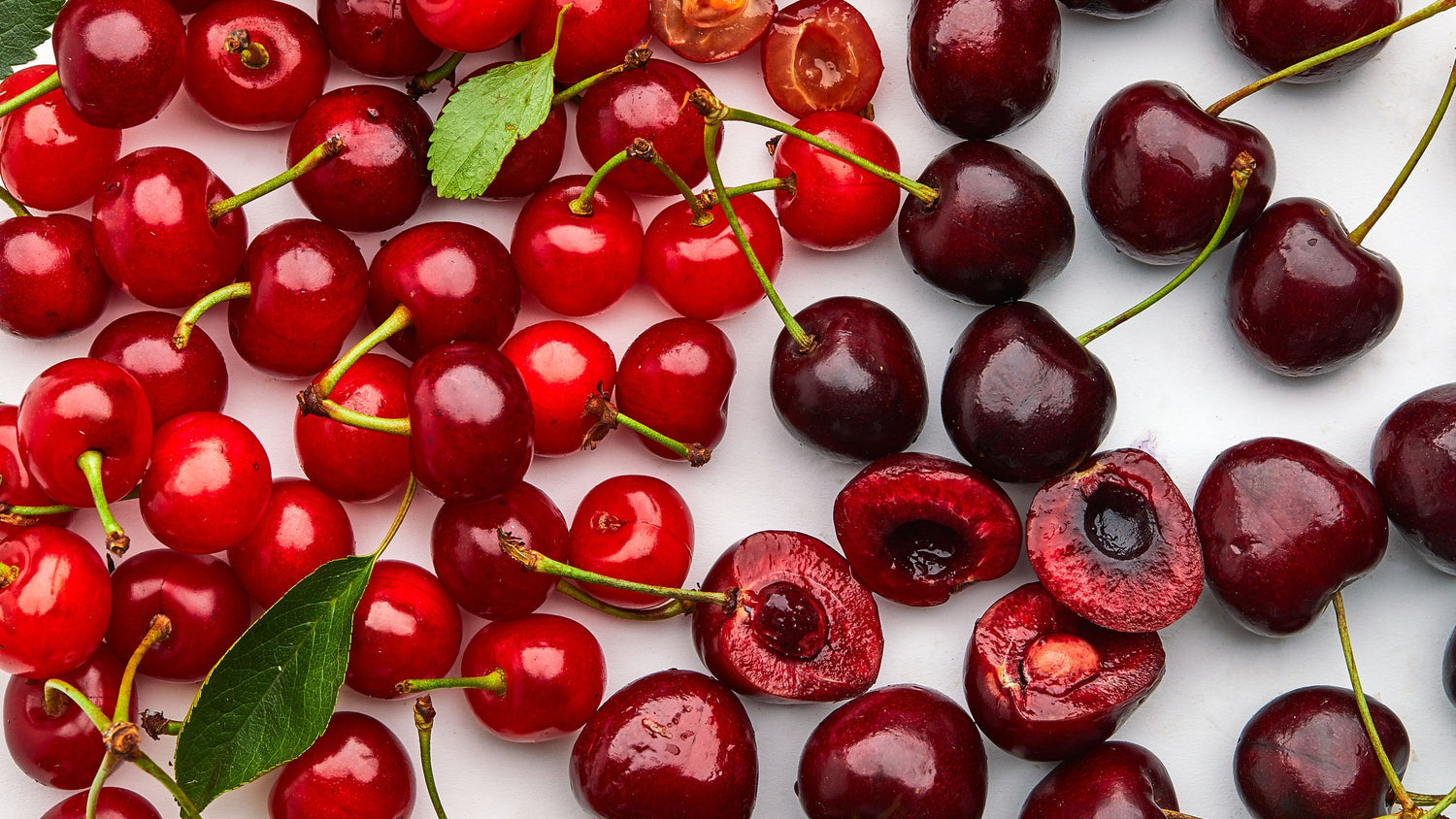 Sour Cherry – Tart, Refreshing Fruit Packed with Nutrients and Flavor