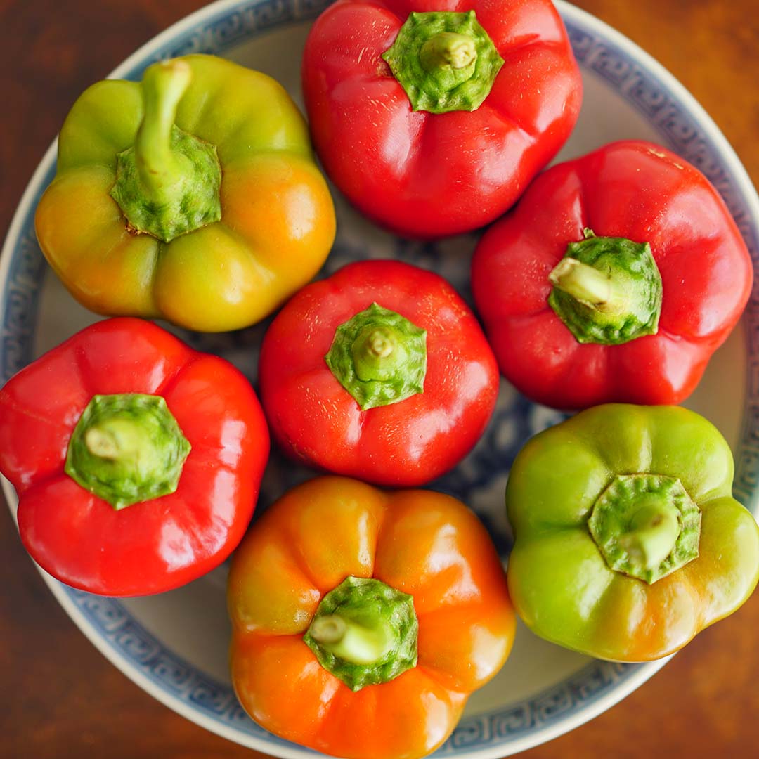 Sweetie Pie Hybrid Bell Pepper Seeds | Extra-Sweet Mini Bell Peppers – Heirloom, Non-GMO, High Germination Organic Garden Seeds