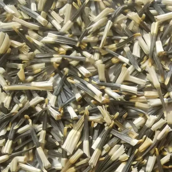 Tall Marigold Flower Strong Branching Marigold Flower For Sowing – Heirloom, Non-GMO, High Germination Organic Garden Seeds