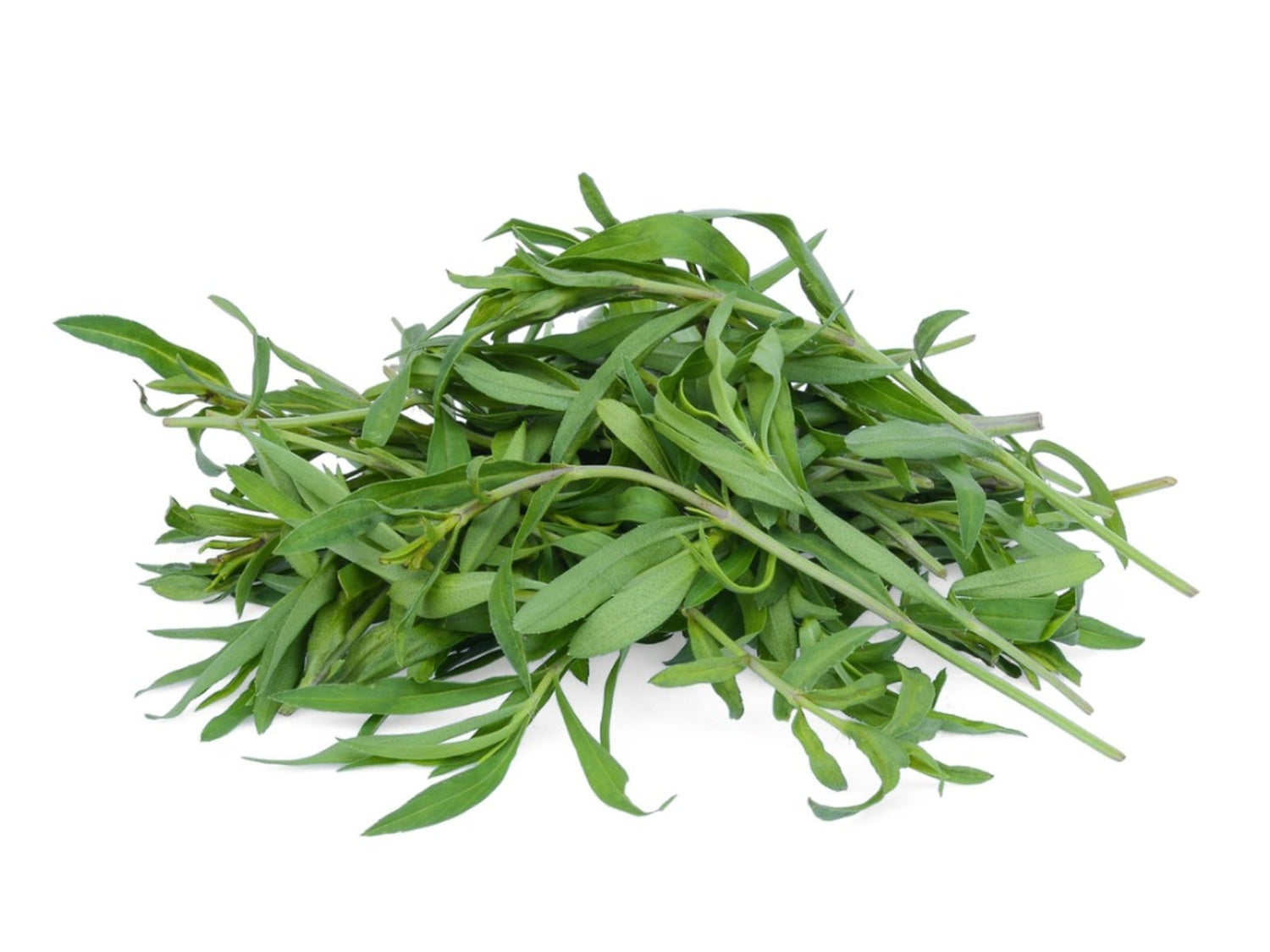 Fresh herb seeds_packet_Tarragon_for_kitchen garden