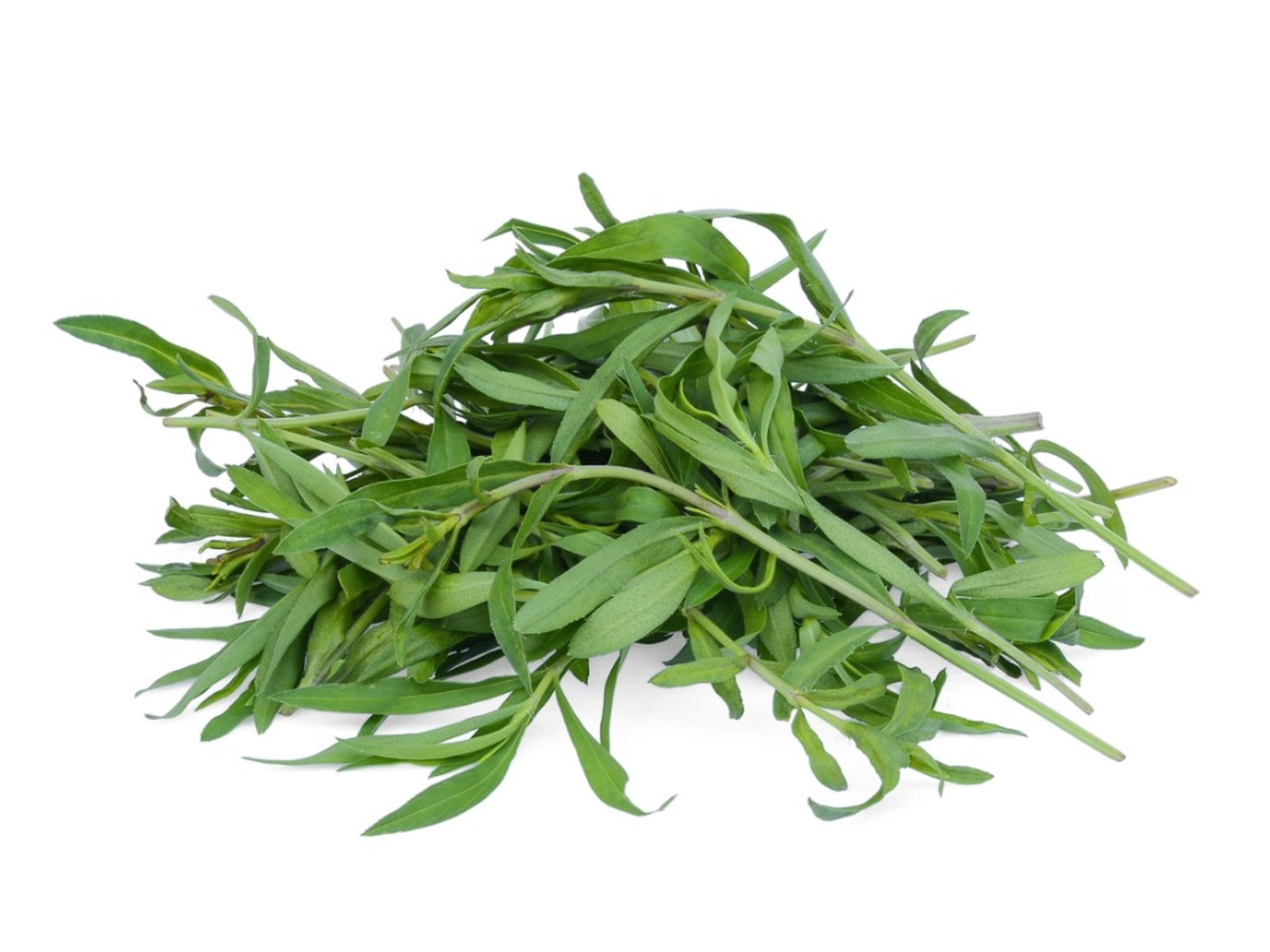 Fresh herb seeds_packet_Tarragon_for_kitchen garden