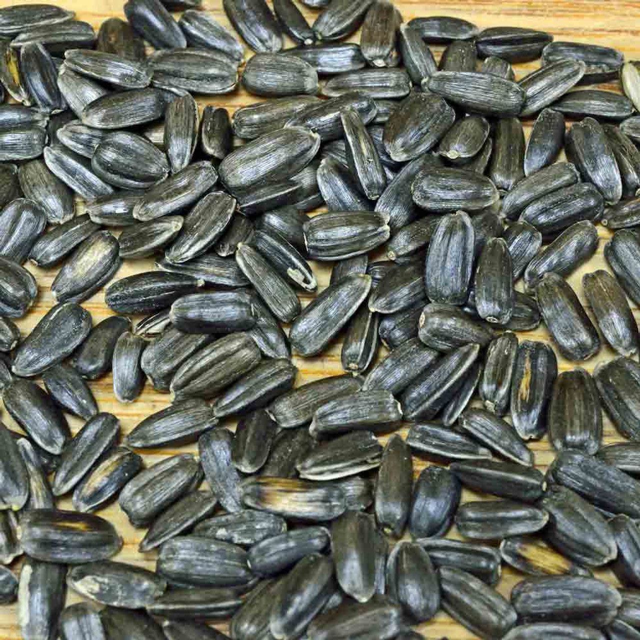 heirloom-cute-small-sunflower-garden-seeds

