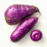 Violet Sweet Potato Ipomoea batatas for planting in home garden