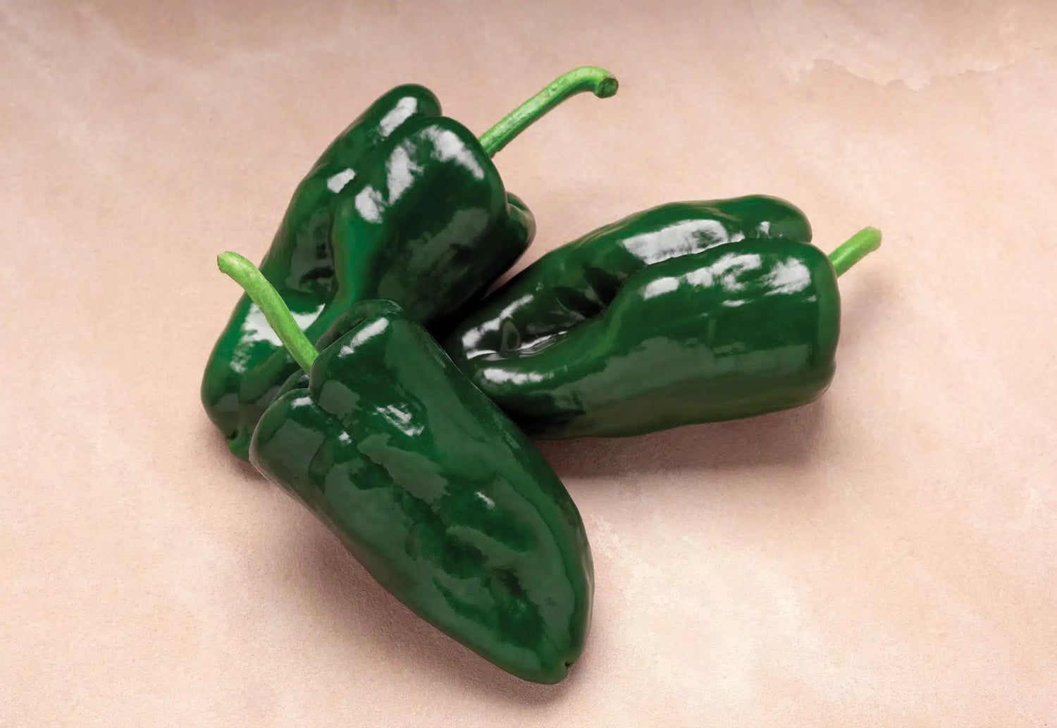 Tiburon Hybrid Pepper Seeds | Large Thick-Walled Dark Green Poblanos – Heirloom, Non-GMO, High Germination Organic Garden Seeds