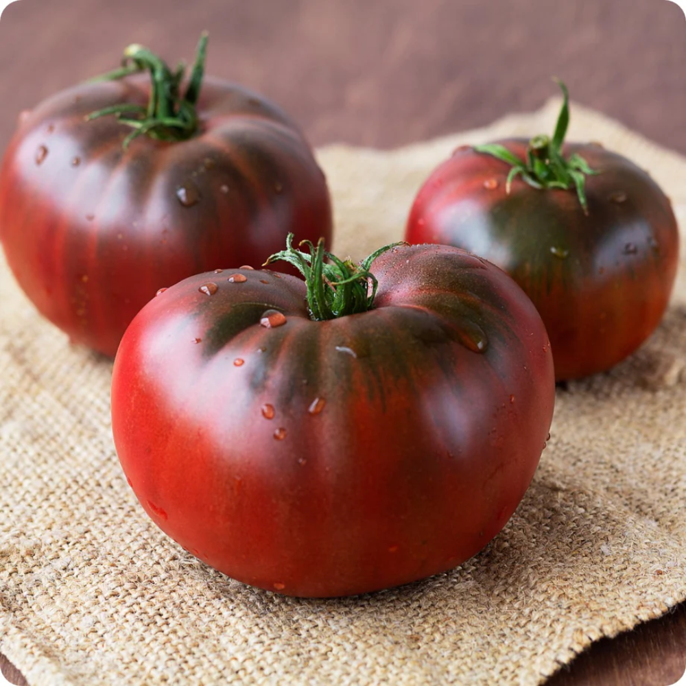 Dark Maroon Tomato Seeds – Unique & Rich-Flavored Variety for Home Gardeners