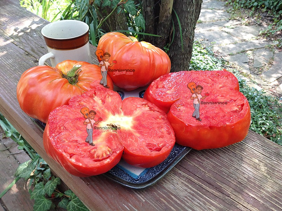 Tomato Solanum Lycopersicum Giant Monster Vegetable Seeds for Planting – Large Fruit Variety for Backyard Garden and Slicing
