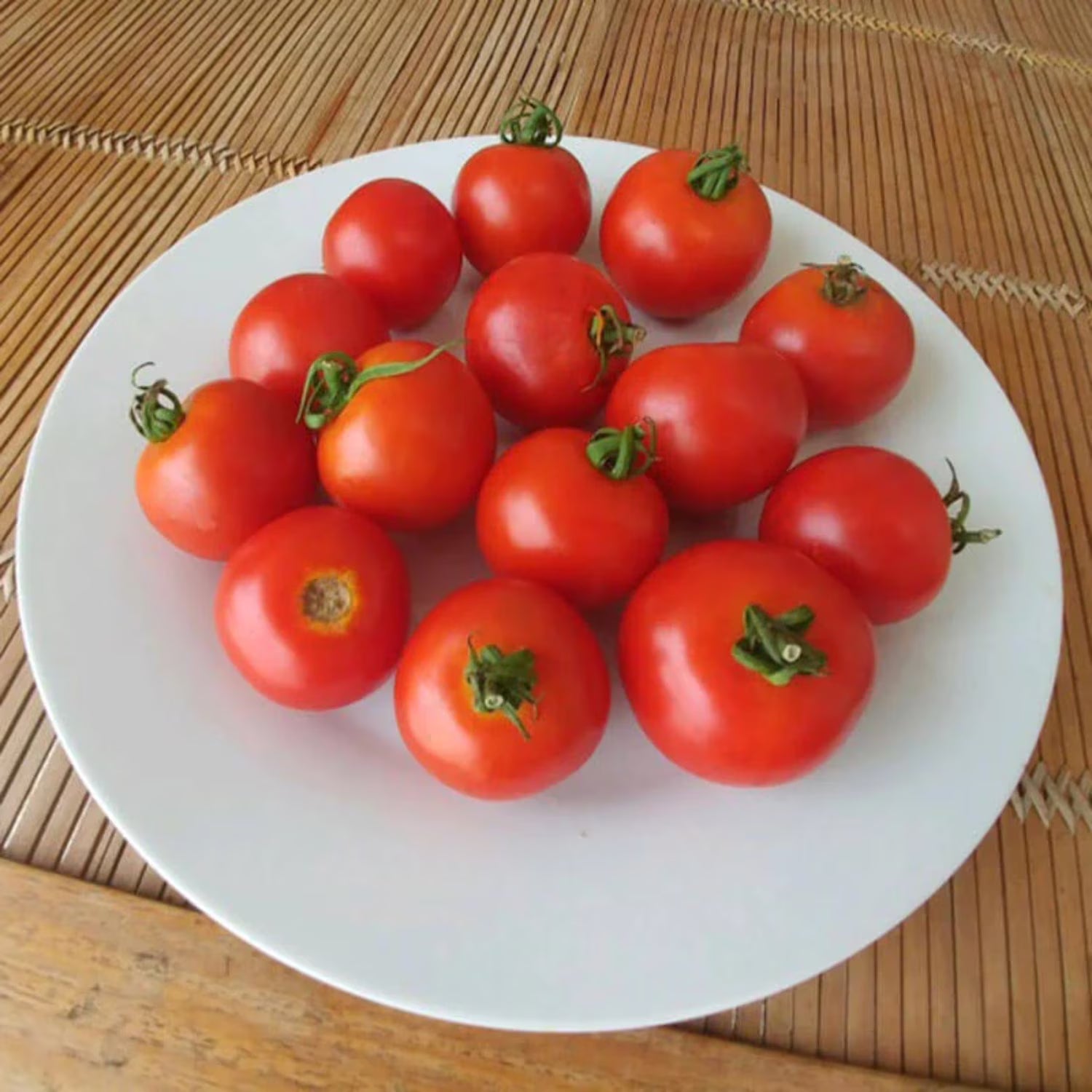 Red Racer Hybrid Tomato Seeds – Heirloom, Non-GMO, High Germination Organic Garden Seeds