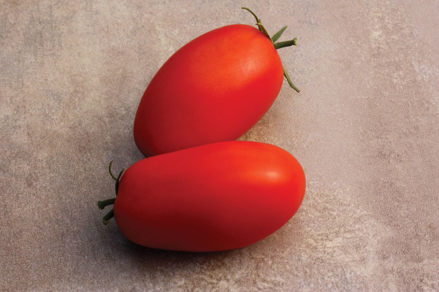 Supremo Hybrid Tomato Seeds | Early Red Roma-Style Paste Tomatoes – Heirloom, Non-GMO, High Germination Organic Garden Seeds