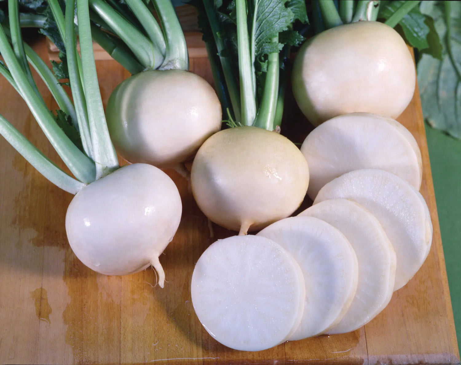 White Lady Hybrid Turnip Seeds | Pure-White Sweet Mild Turnips – Heirloom, Non-GMO, High Germination Organic Garden Seeds