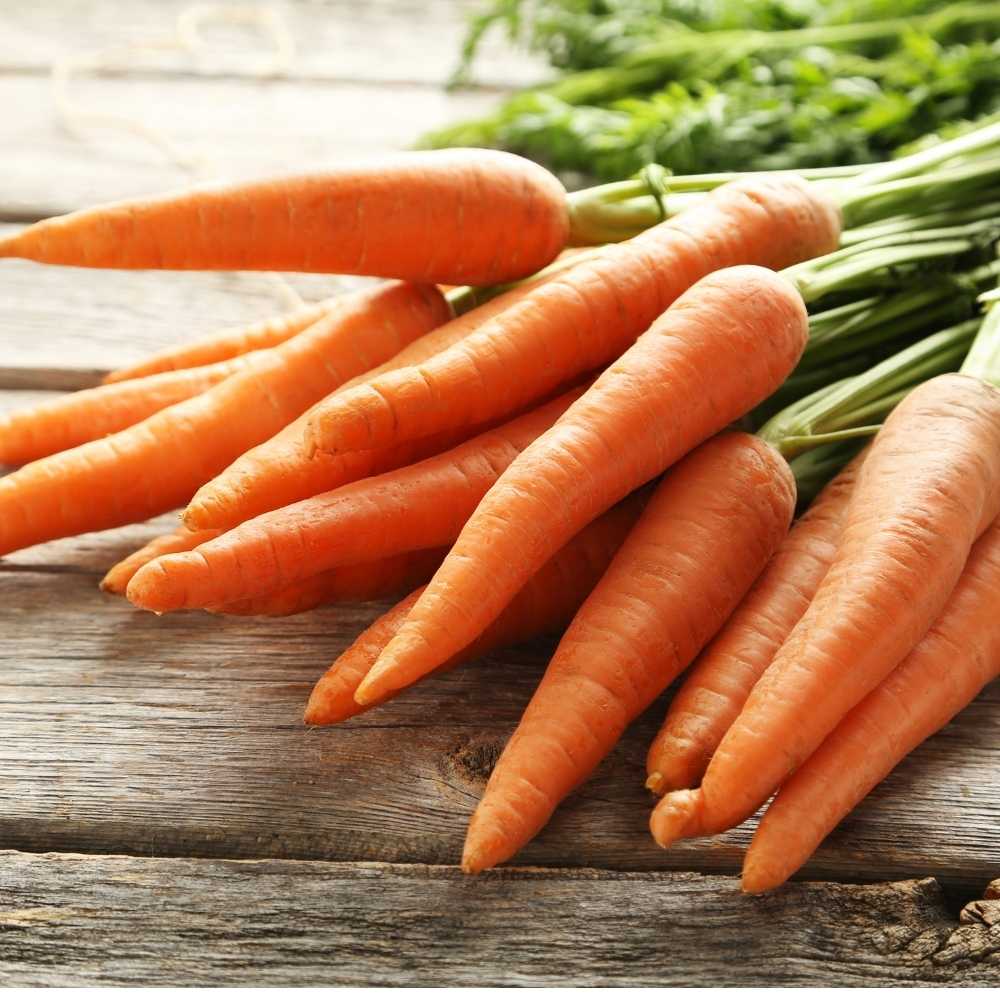 Carrot Daucus Carota and Radish Raphanus Sativus Orange Vegetable Seeds for Planting – Blue Sky Weight Loss Mix for Raised Beds