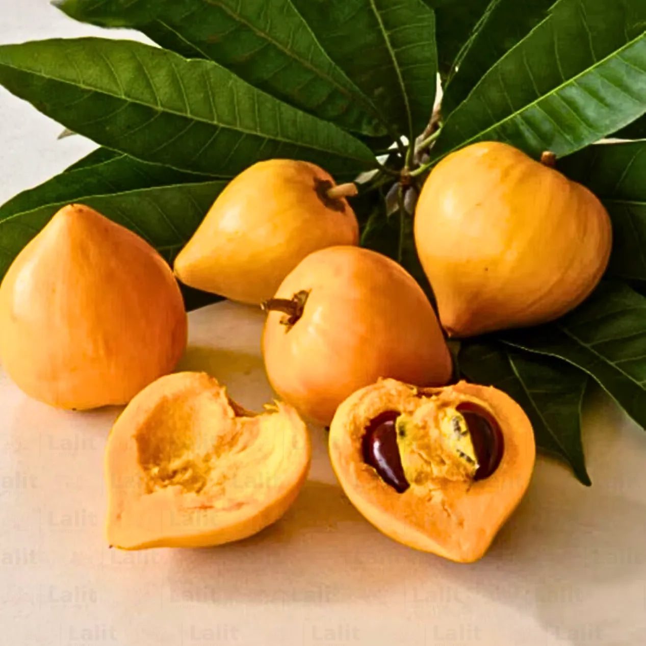 Egg Fruit (Canistel)