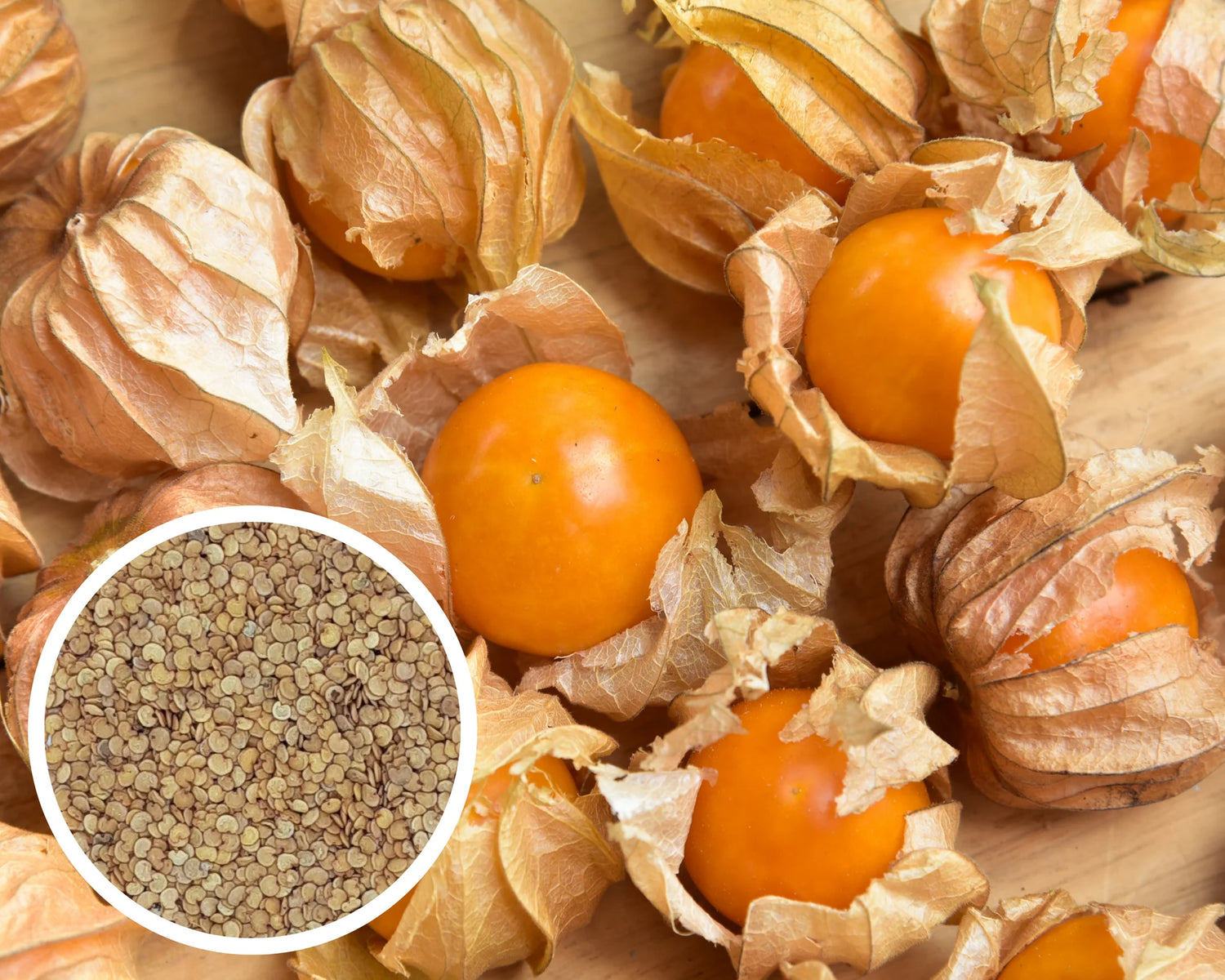 Tomatillo Vegetable Seeds for Planting