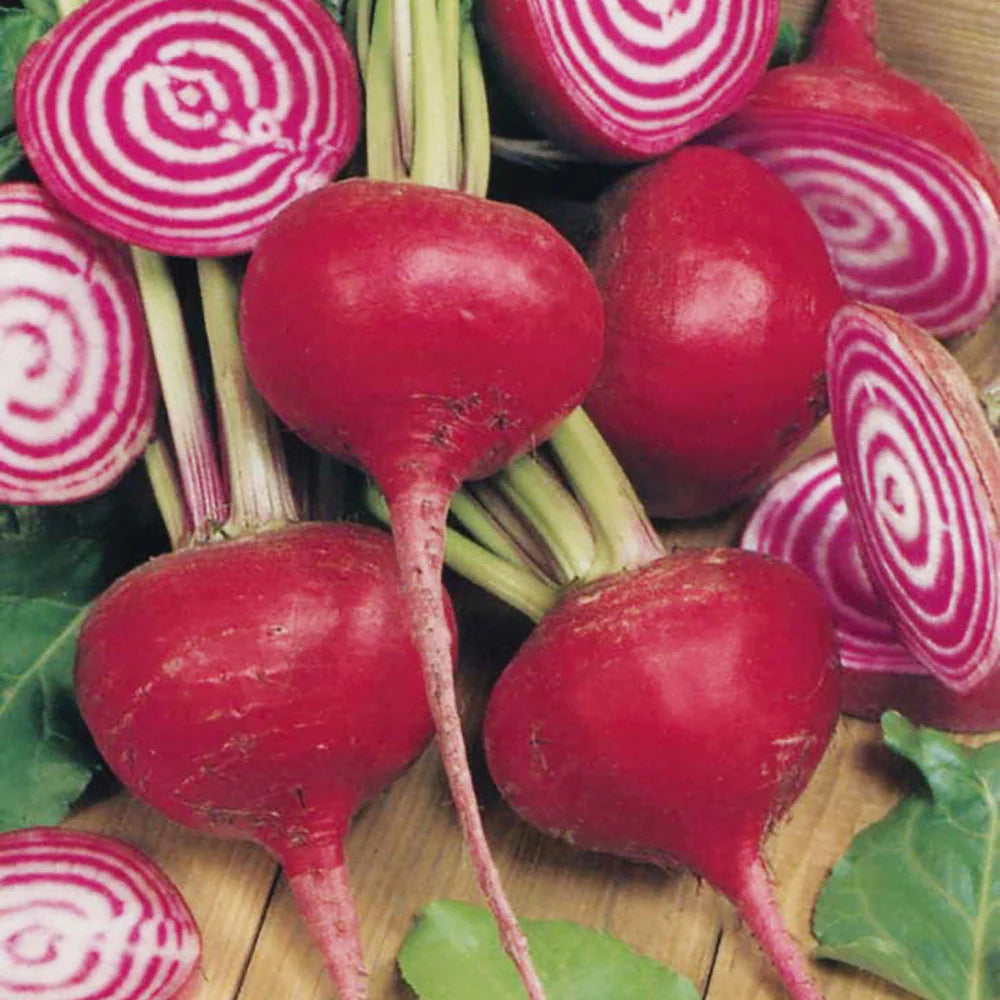 Beetroot Vegetable Seeds for Planting