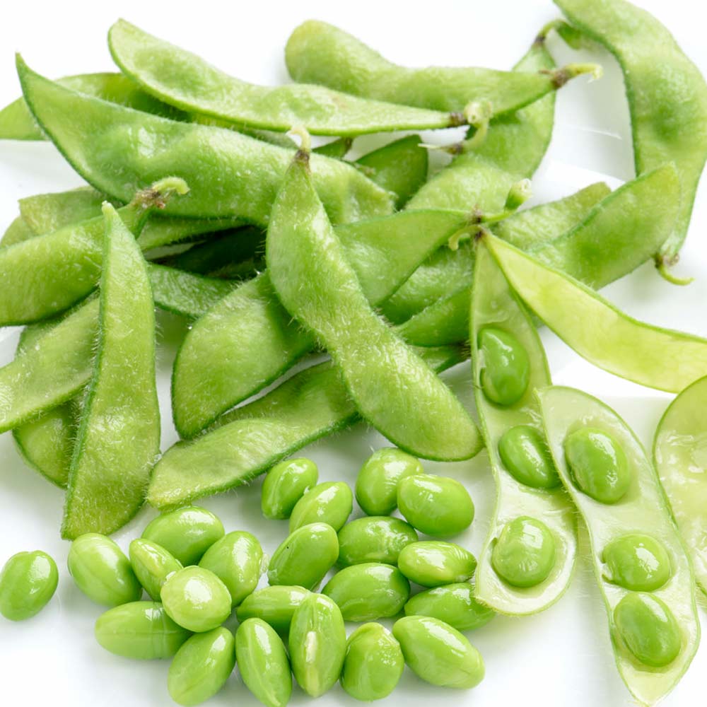 Bean Seeds - Edamame