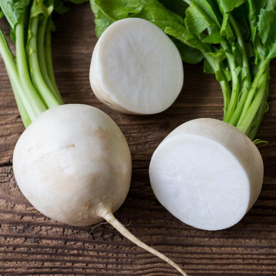 Radish Raphanus Sativus White Hailstone Vegetable Seeds for Planting – Crisp Root Variety for Quick Kitchen Garden Harvest