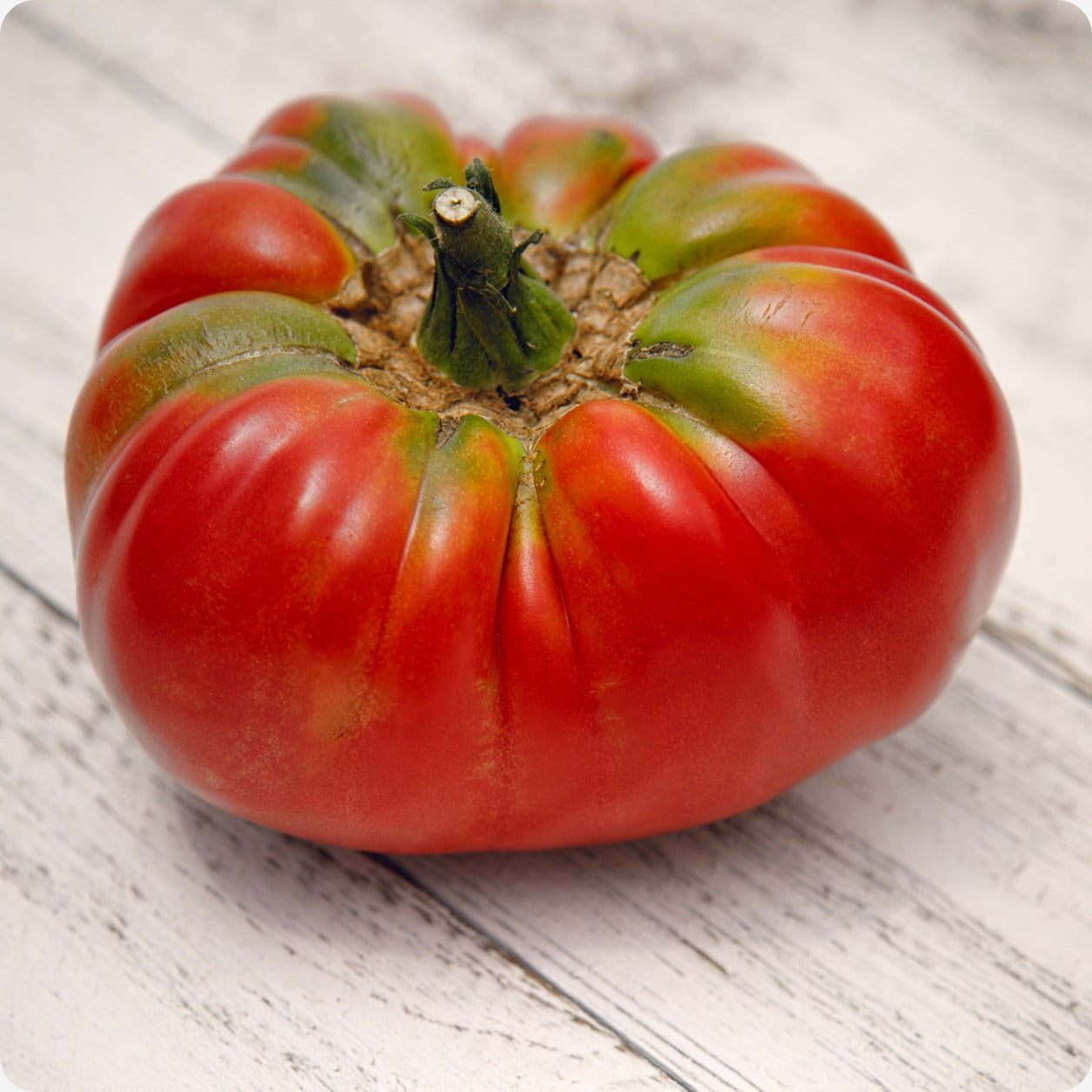 Tomato Solanum lycopersicum German Johnson beefsteak vegetable seeds for planting in home garden beds