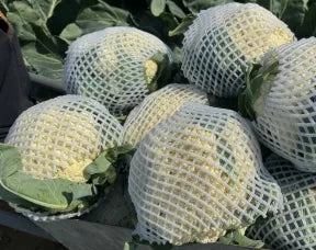Vigorous Growth Good Disease Resistance, Cauliflower For Sowing heirloom non-gmo organic garden seeds
