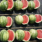 Vigorous Growth Seedless Semillas De Sandia heirloom non-gmo organic garden seeds