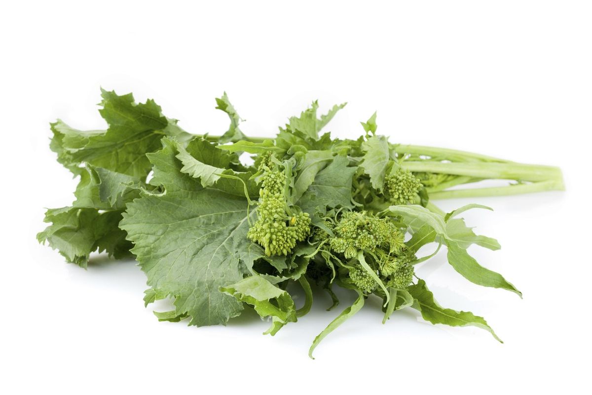 Heirloom Broccoli Raab Seeds for Planting