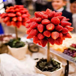 Strawberry Tree Seeds Rare Strawberry-Like Fruit Bonsai High Germination Garden Seeds heirloom non-gmo seeds