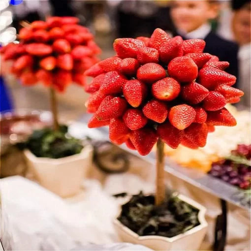 Strawberry Tree Seeds Rare Strawberry-Like Fruit Bonsai High Germination Garden Seeds heirloom non-gmo seeds