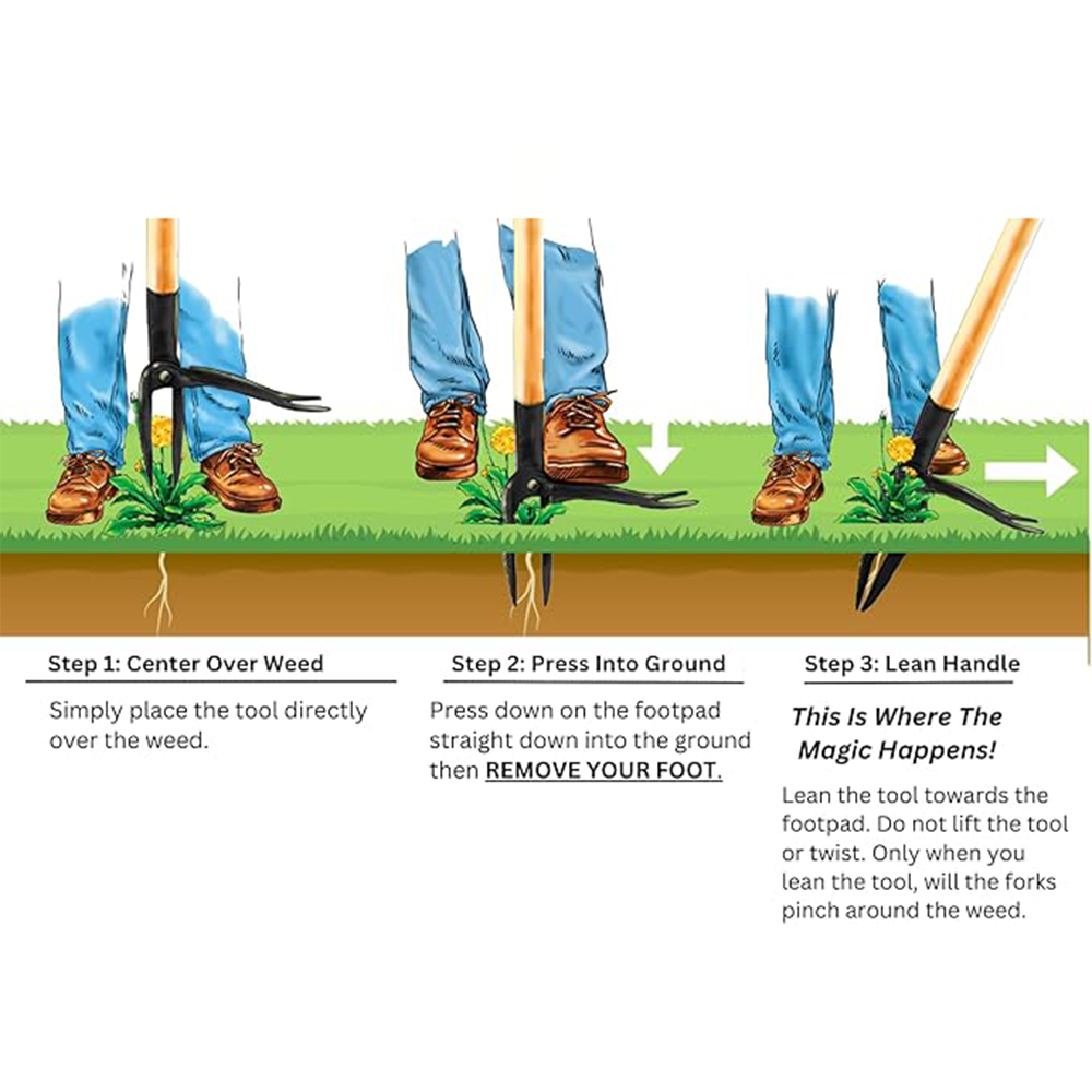 Grampa's Weeder - Stand Up Weed Puller Tool with Bamboo Handle & Steel 4-Claw Design