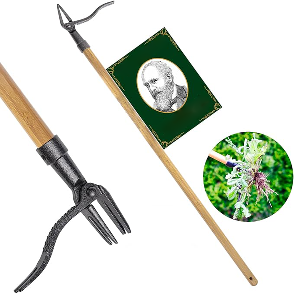 Grampa's Weeder - Stand Up Weed Puller Tool with Bamboo Handle & Steel 4-Claw Design