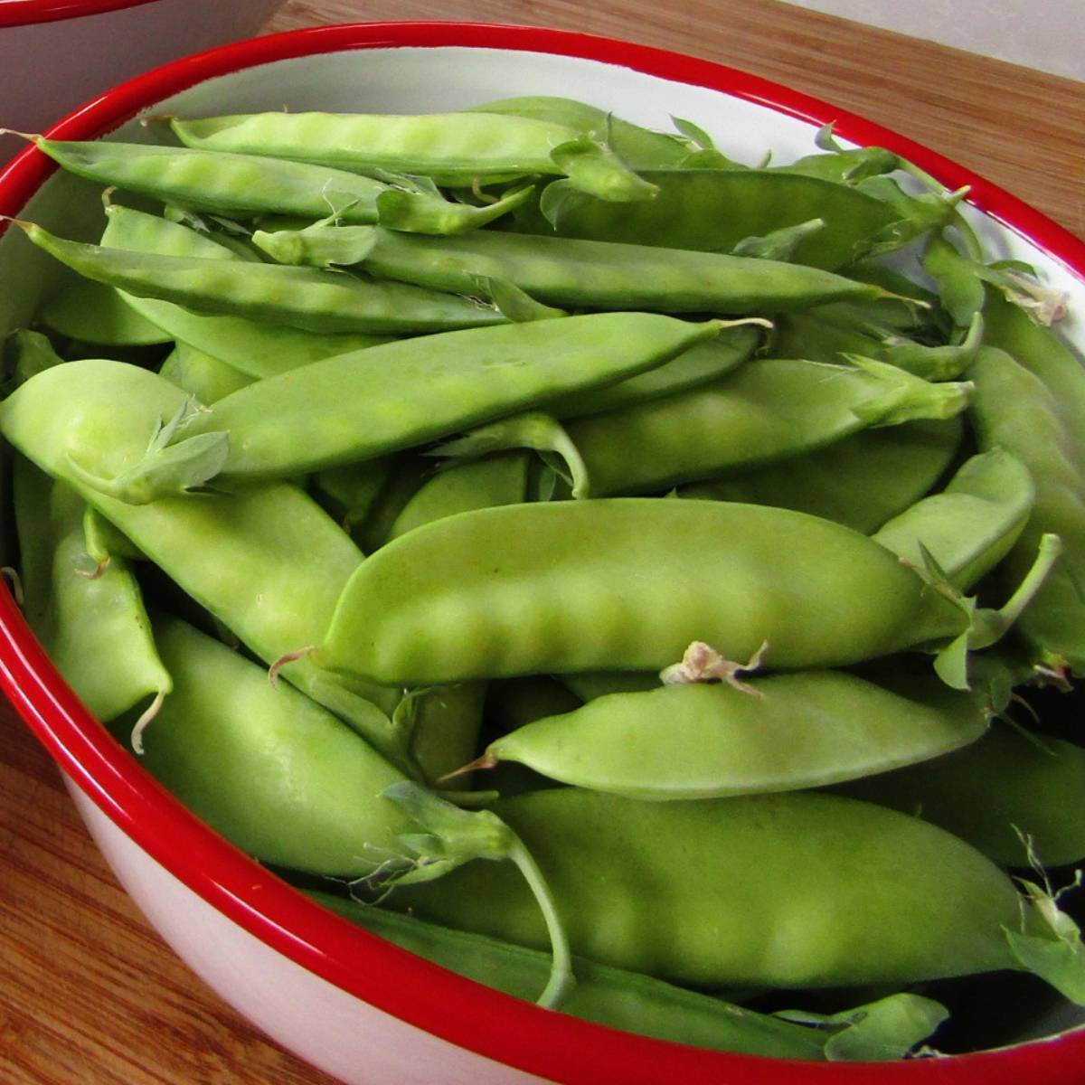 Mammoth Melting Snow Pea Seeds