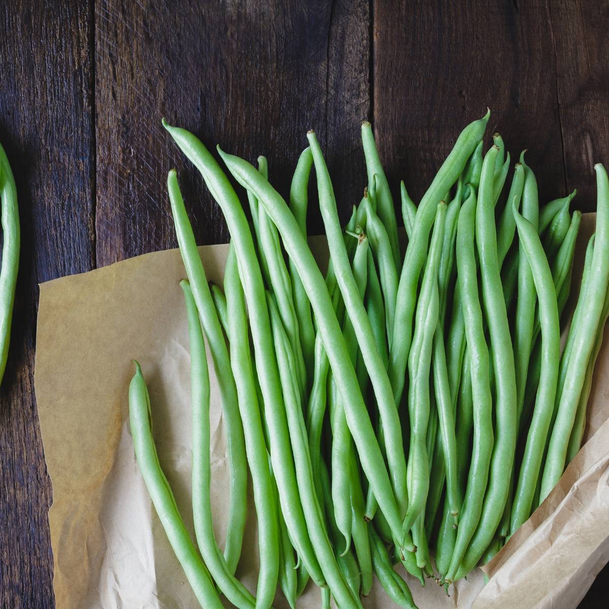 Blue Lake Climbing Bean Seeds