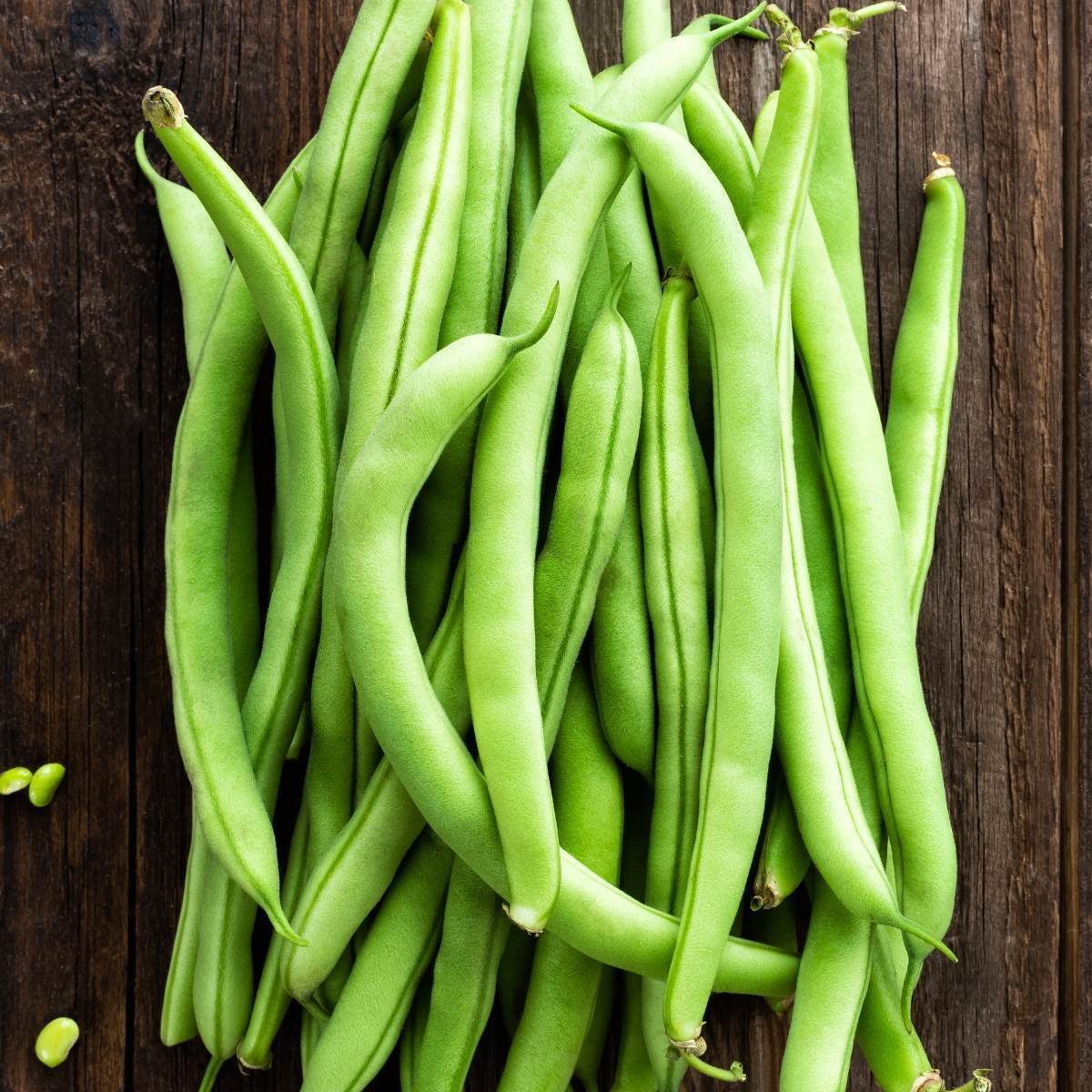 Windsor Long Pod Bean Seeds