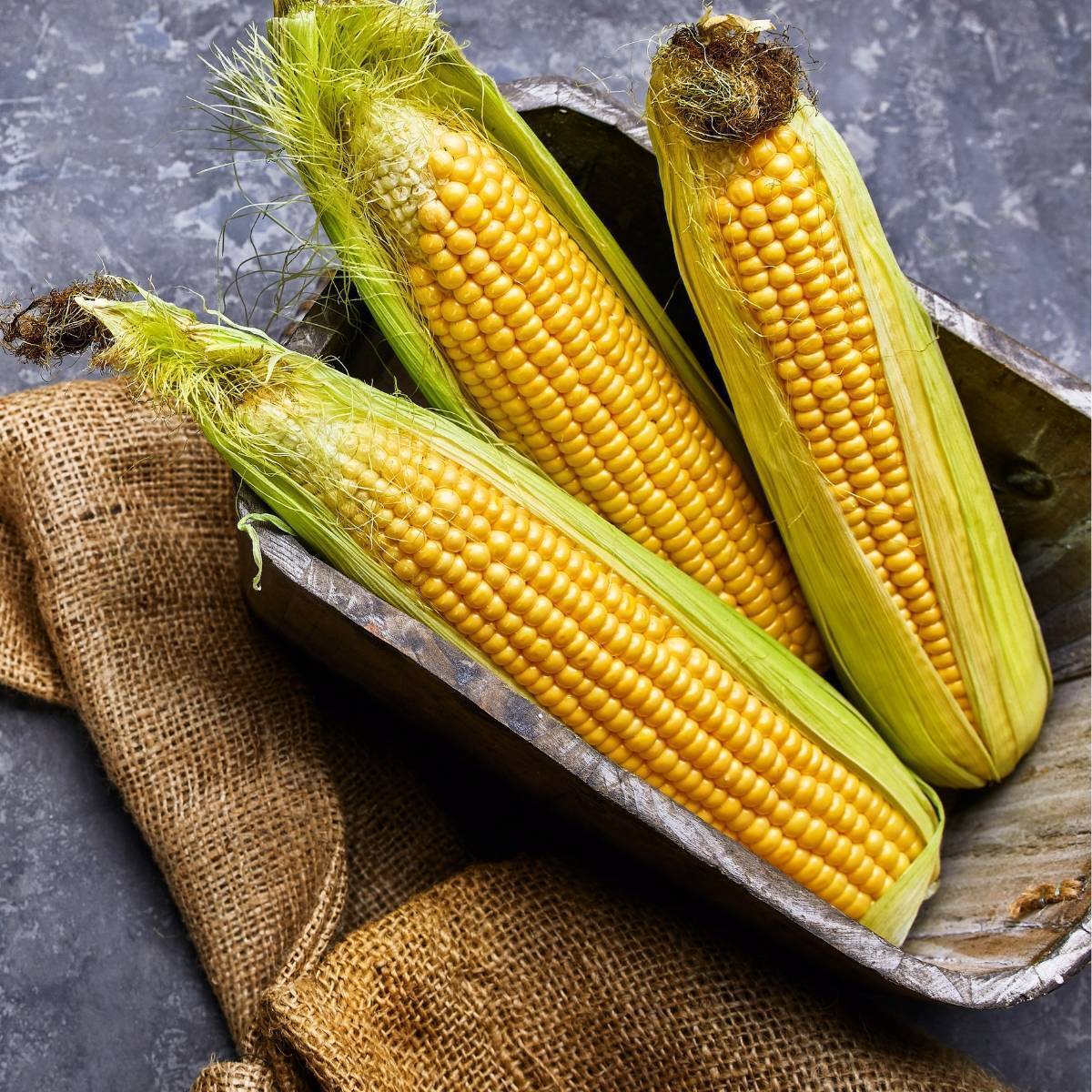 Hawaiian Sweet Corn Seeds