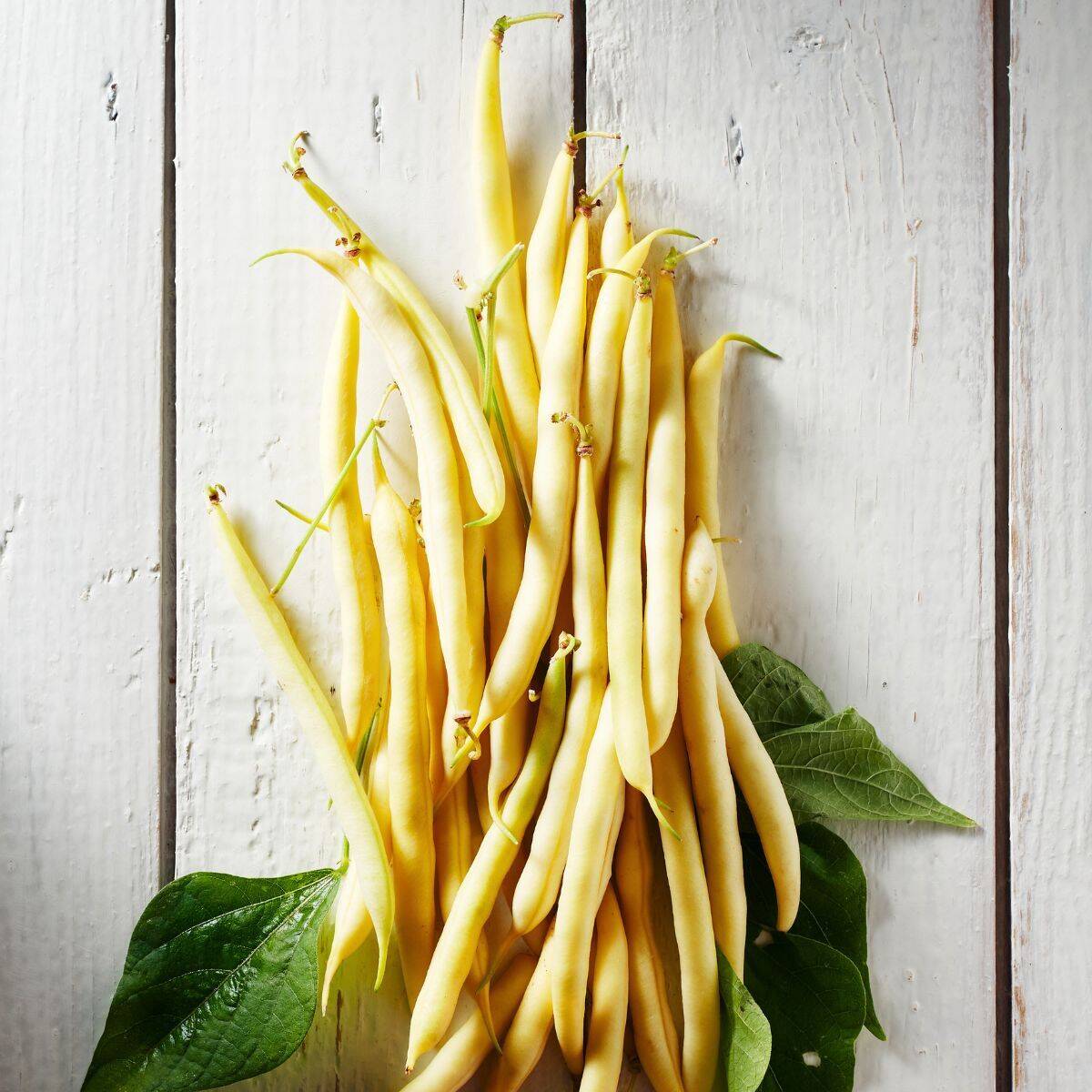 Kentucky Wonder Wax Climbing Bean Seeds