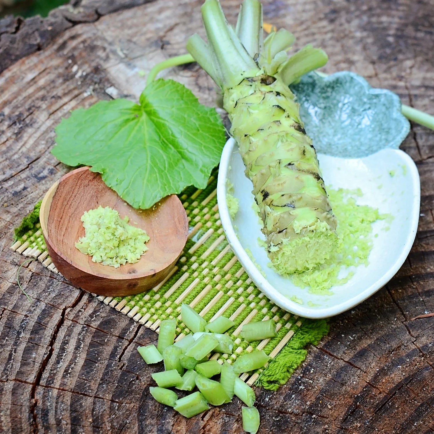 Daruma Wasabi Seeds for Planting - Heirloom and Non-GMO Garden Seeds