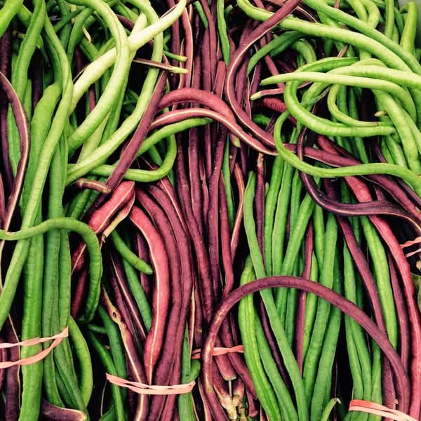 Yard Long Bean Vigna unguiculata seeds for planting in vegetable patch