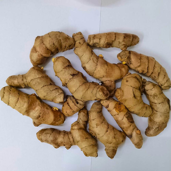 Yellow Turmeric Seeds