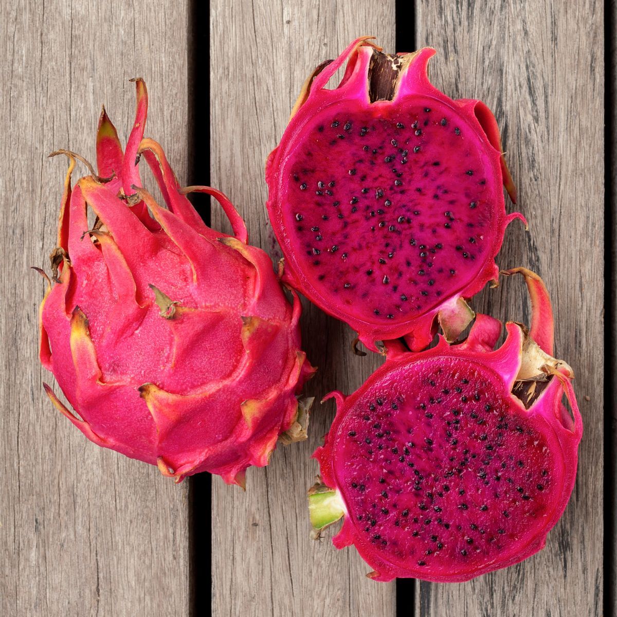 Zamorano Dragon Fruit Cutting