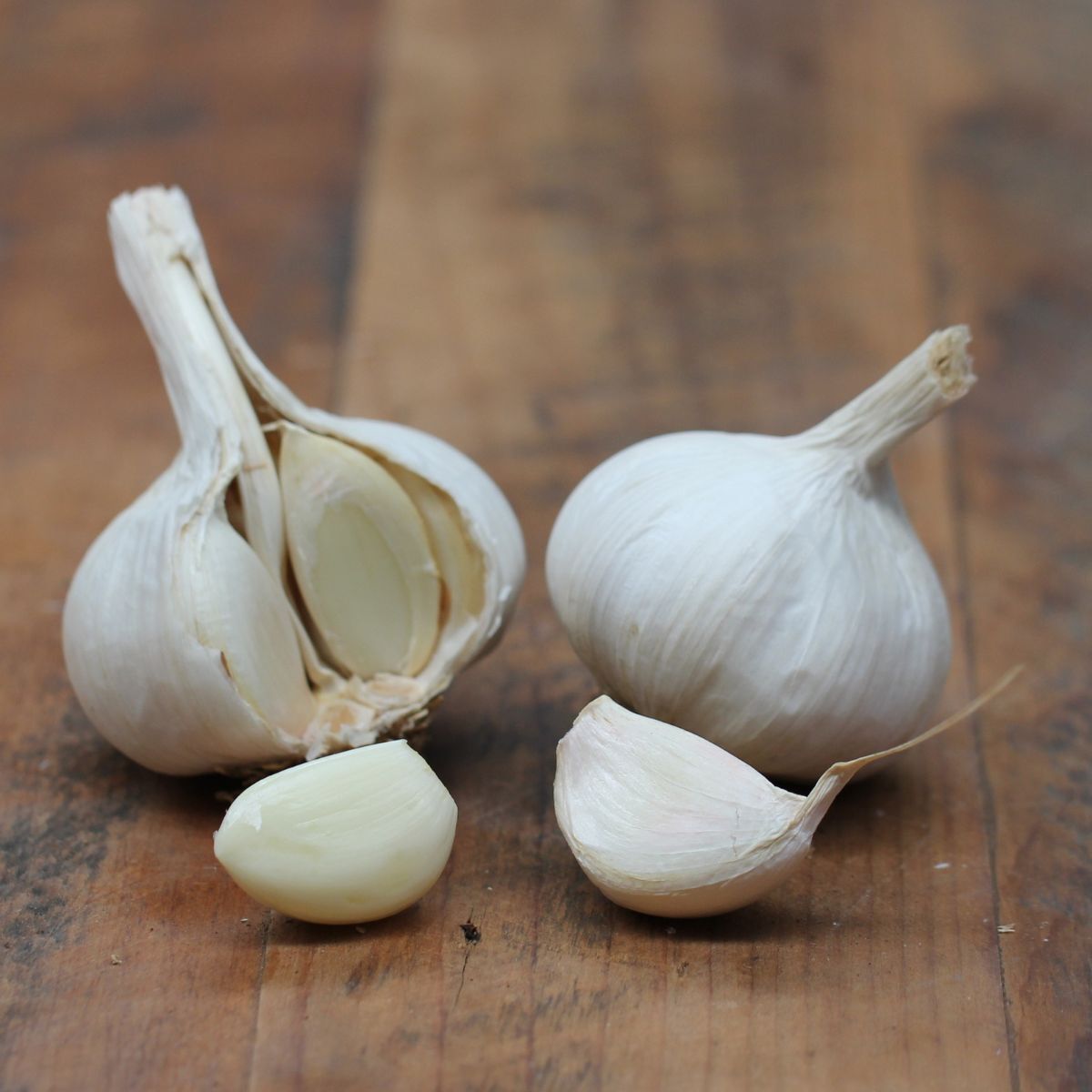 Kangaroo Island White Garlic Seeds