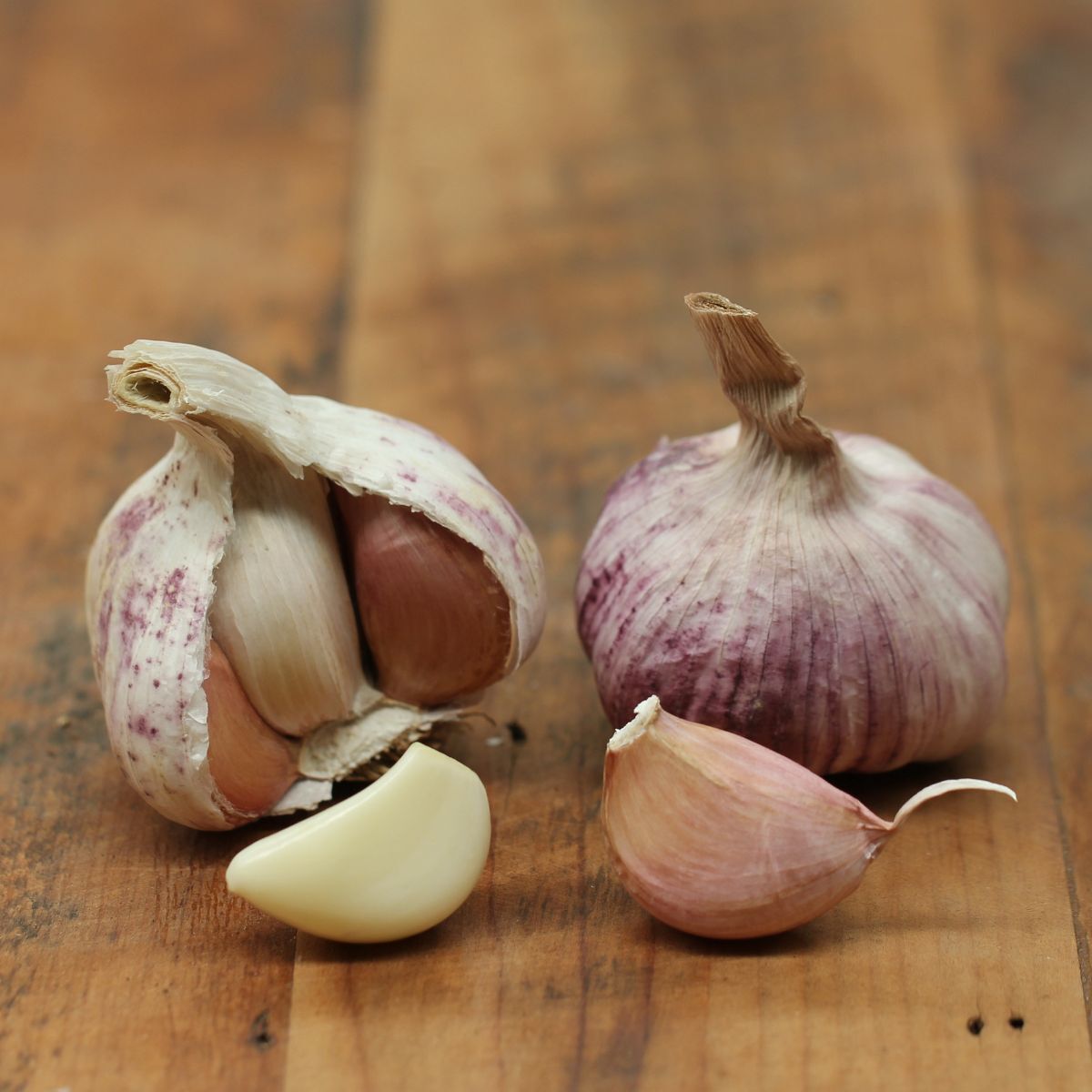 Kangaroo Island Purple Garlic Seeds