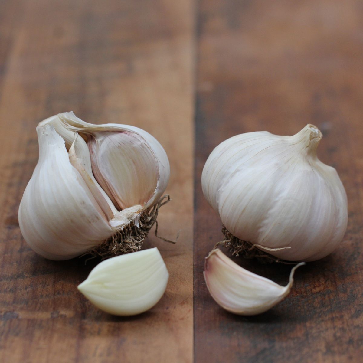 Hillston Garlic Seeds