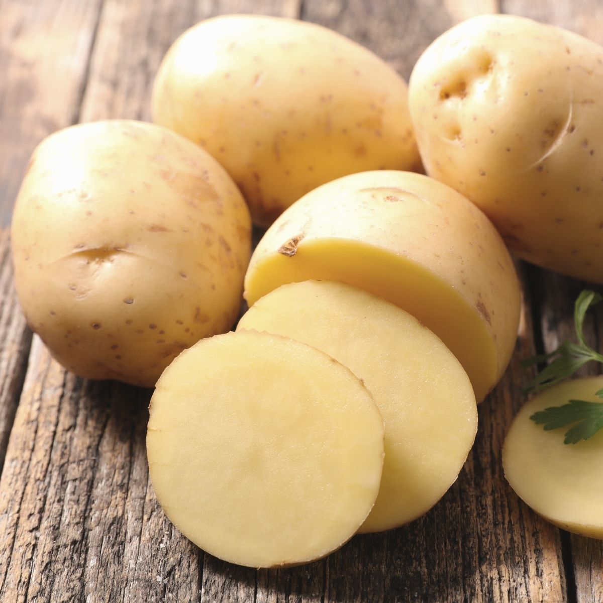 White Star Seed Potato Seeds