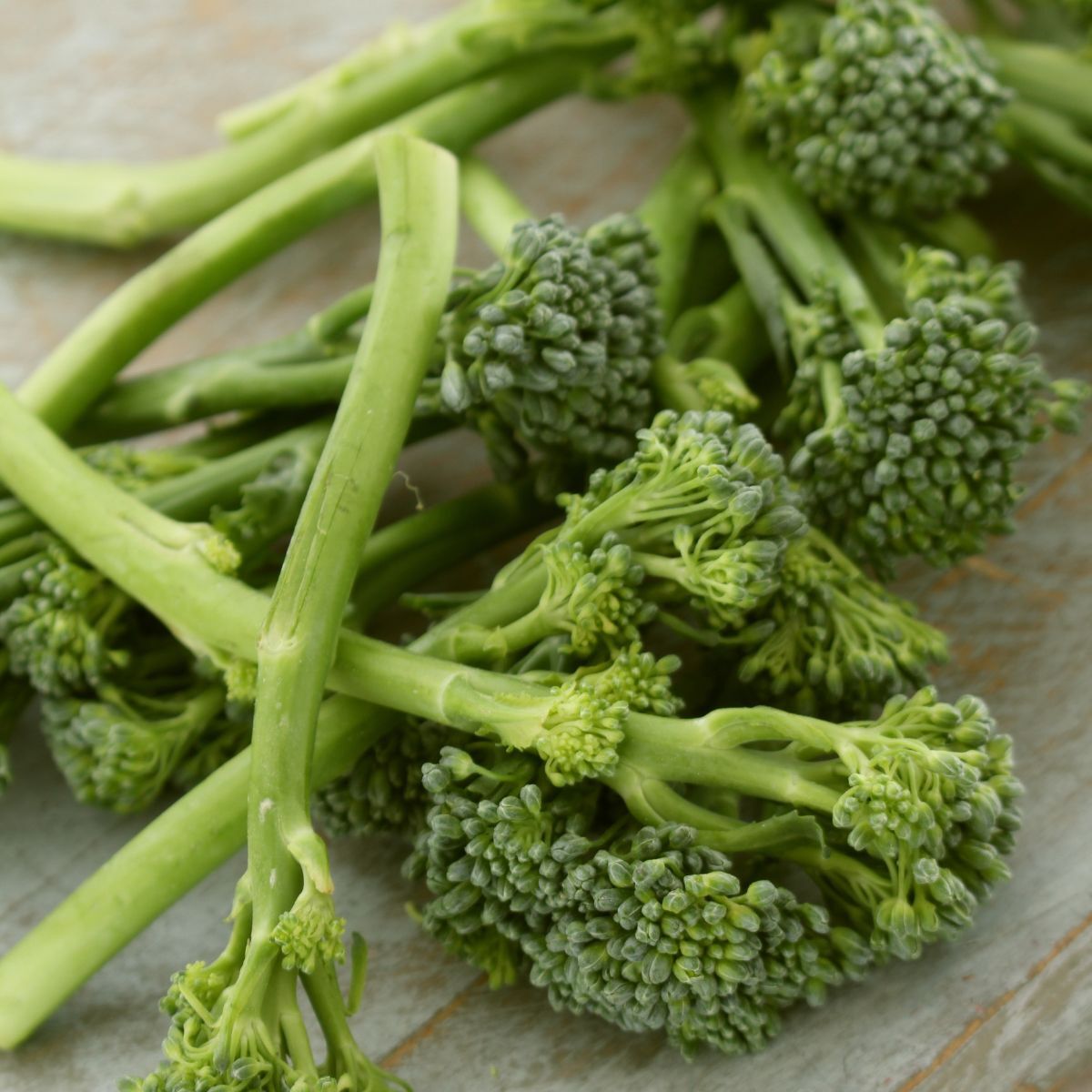 Green Sprouting Calabrese Broccoli Seeds