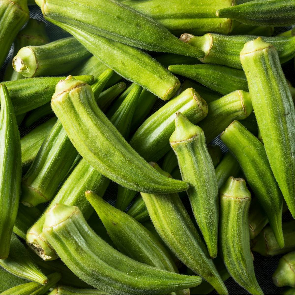 Clemson's Spineless Okra Seeds