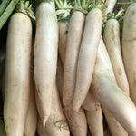 sliced Japanese Minowase radishes showing crisp white flesh

