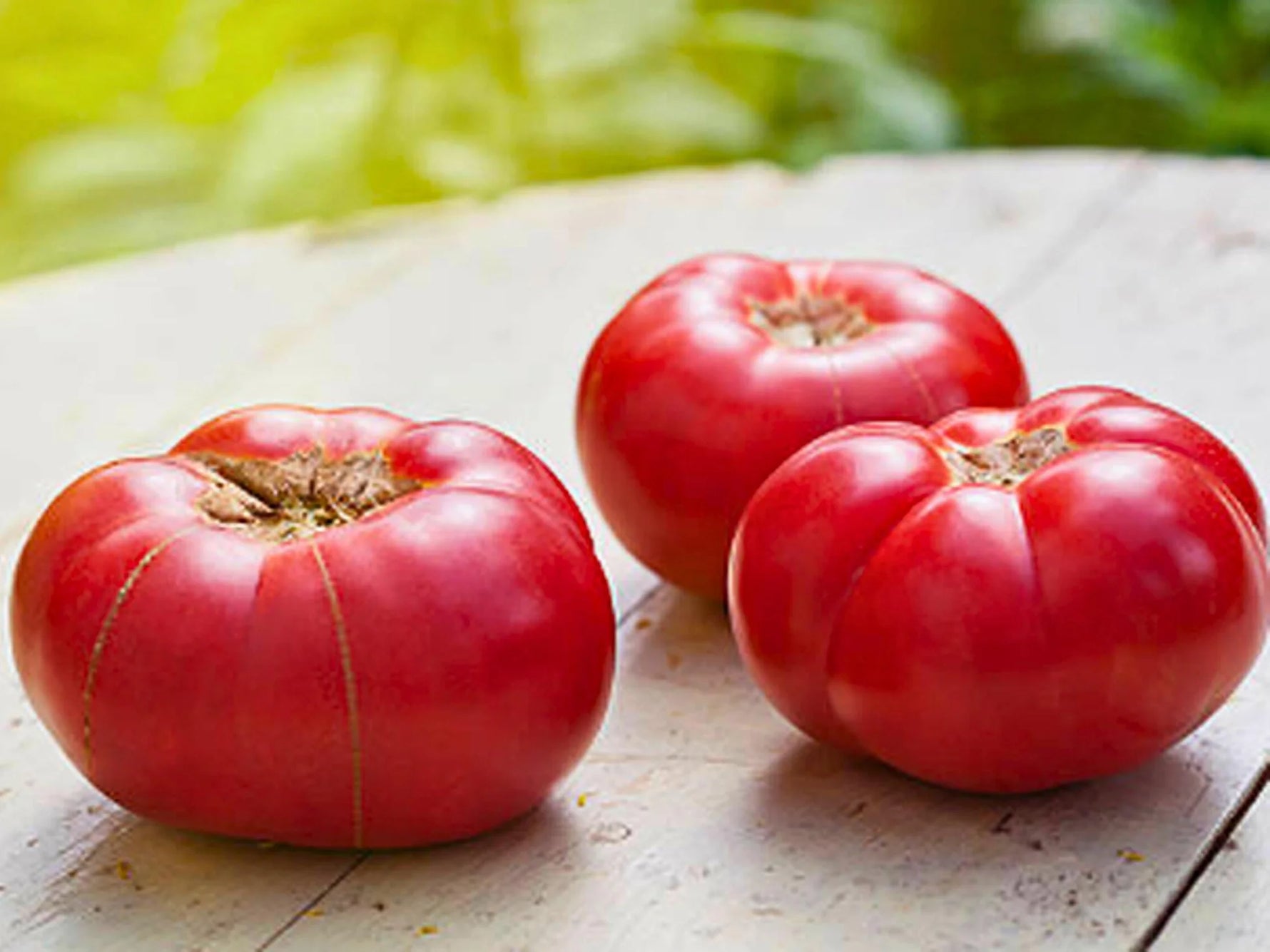 Abe Lincoln tomato plant growth habit indeterminate vines
