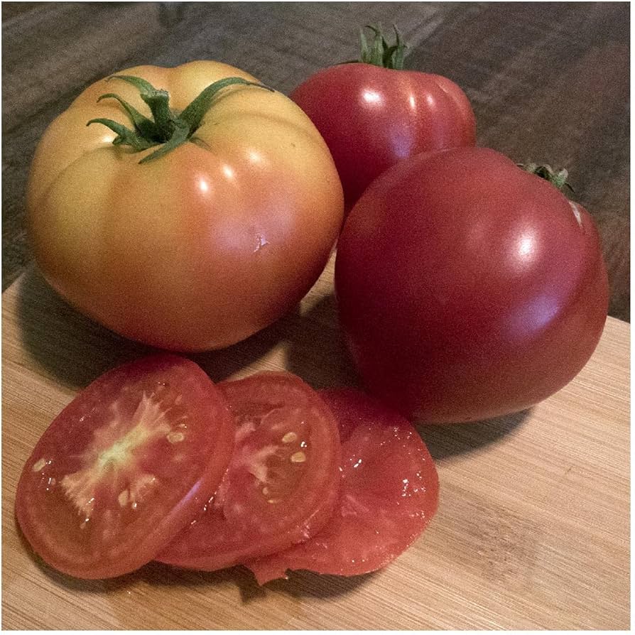 Abe Lincoln tomato seeds high yield heirloom non GMO